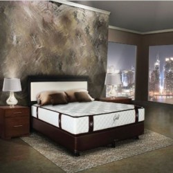 Springbed Central Gold