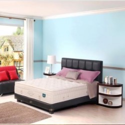 Springbed Guhdo Individual Response