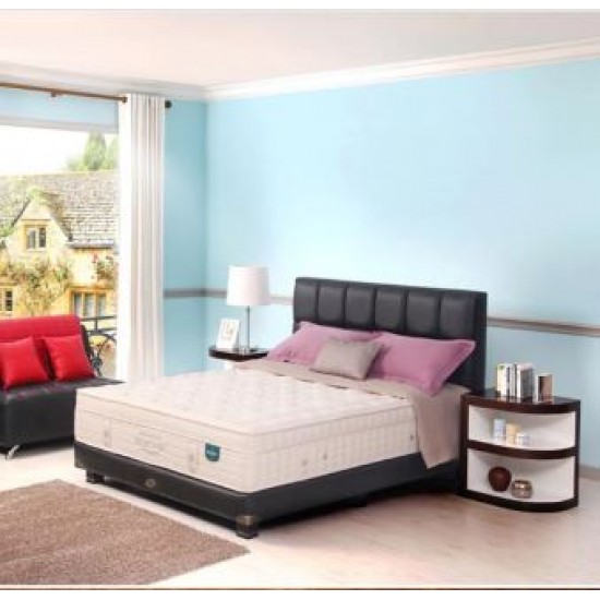 Springbed Guhdo Individual Response