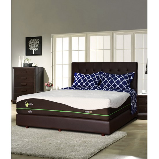 Springbed Zees Magic 3 Words - I Need You
