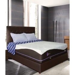 Springbed Zees Magic 3 Words - I Want You