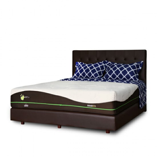 Springbed Zees Magic 3 Words - I Need You