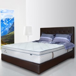 Springbed Zees Orthopedic - Refresh