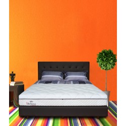 Springbed Zees Orthopedic - Relieve