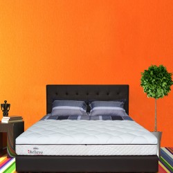 Springbed Zees Orthopedic - Relieve