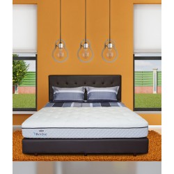 Springbed Zees Orthopedic - Revive