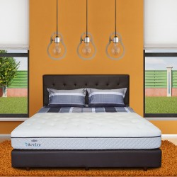 Springbed Zees Orthopedic - Revive