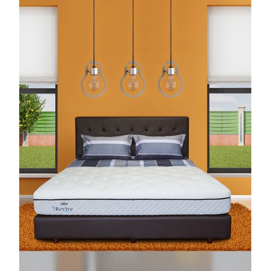 Springbed Zees Orthopedic - Revive