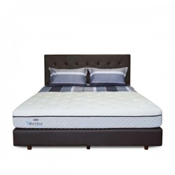 Springbed Zees Orthopedic - Revive