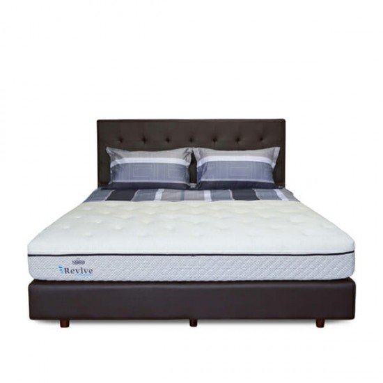 Springbed Zees Orthopedic - Revive