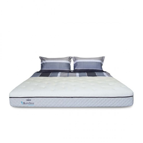 Springbed Zees Orthopedic - Revive