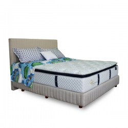 Springbed Zees Spine Friendly Premium