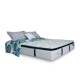Springbed Zees Spine Friendly Premium